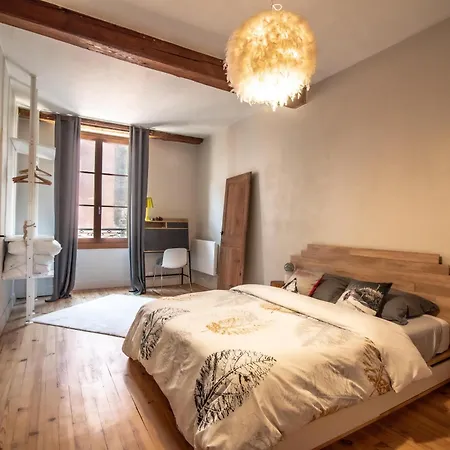 De Montagne Style Sur Le Quai Saint Laurent Et Bastille Apartmán Grenoble